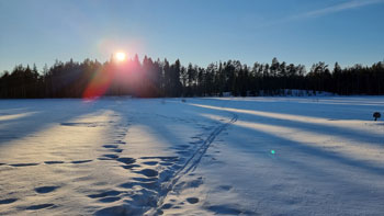 Skidor 2022 Hörneå